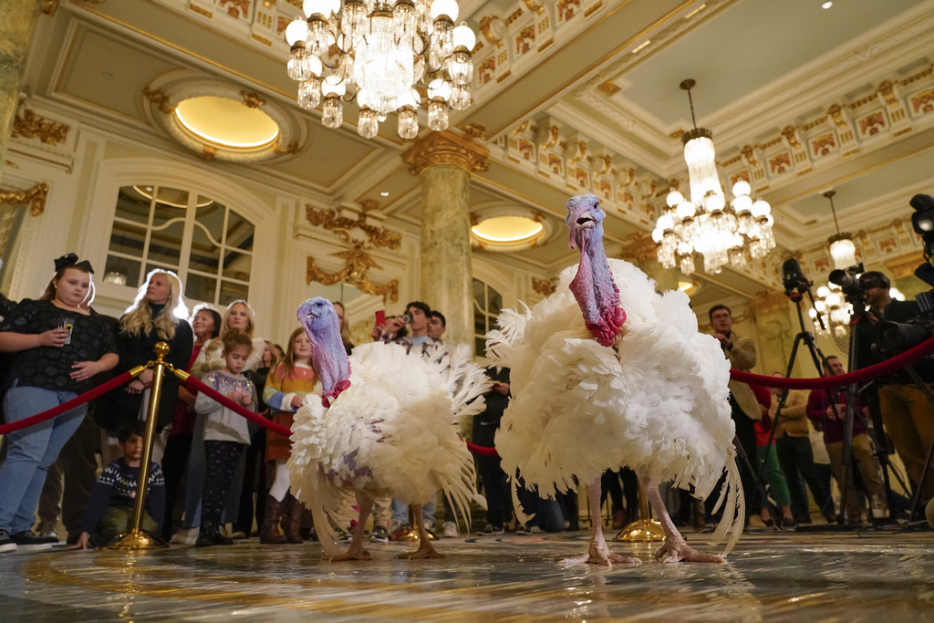 Mon. 9:02 a.m.: Biden is spending his 81st birthday honoring White House tradition of pardoning Thanksgiving turkeys | News, Sports, Jobs - Vimarsana News